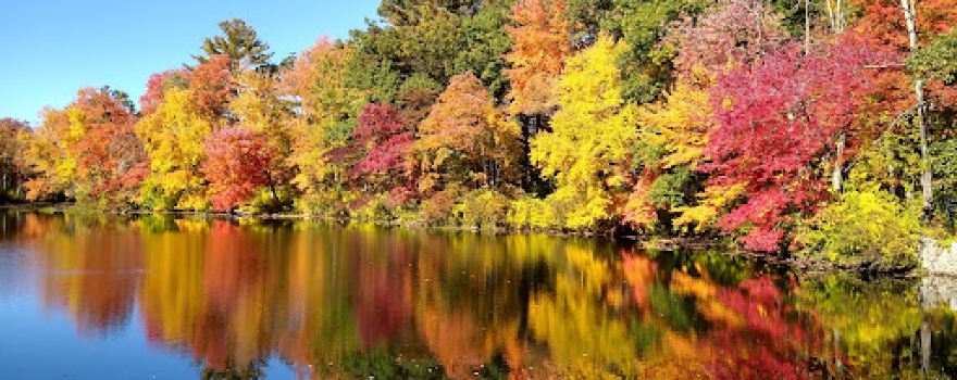 White Mill Park