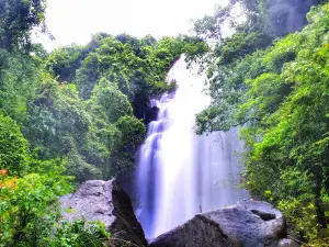 Wyaghreshwar Waterfall, Manche