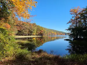 Locust Lake Camp Store
