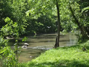 Sunset Springs RV Resort