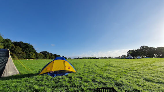 Setts Wood Camping and Glamping