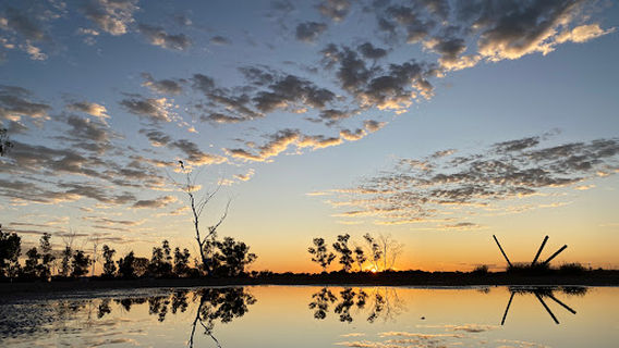Curtin Springs Station