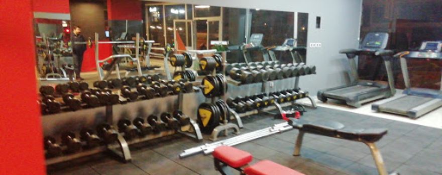 Adonis fitness tekerek şubesi