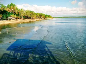 Salvatierra Beach Resort