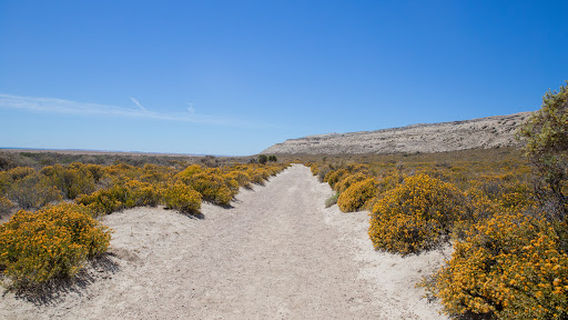 Reserva Lobería de Punta Loma