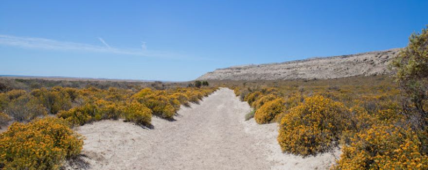 Reserva Lobería de Punta Loma