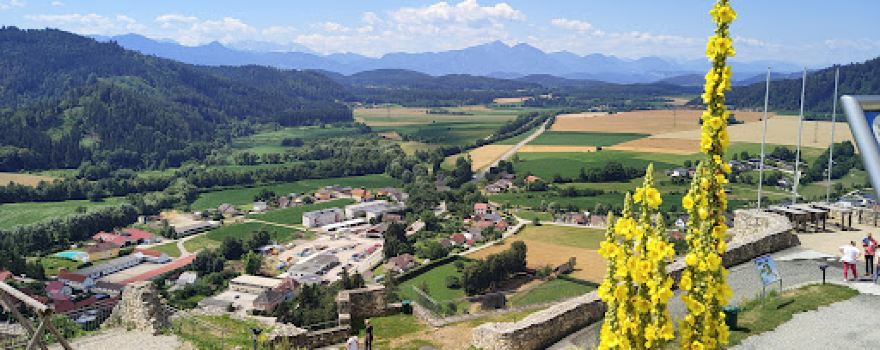 Burgruine Griffen