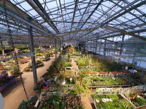 Pflanzen-Kölle Gartencenter GmbH & Co. KG Heilbronn