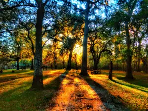 Hart Springs RV Campground