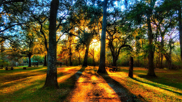 Hart Springs RV Campground