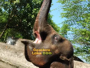 Reptiles Park Gembira Loka Zoo