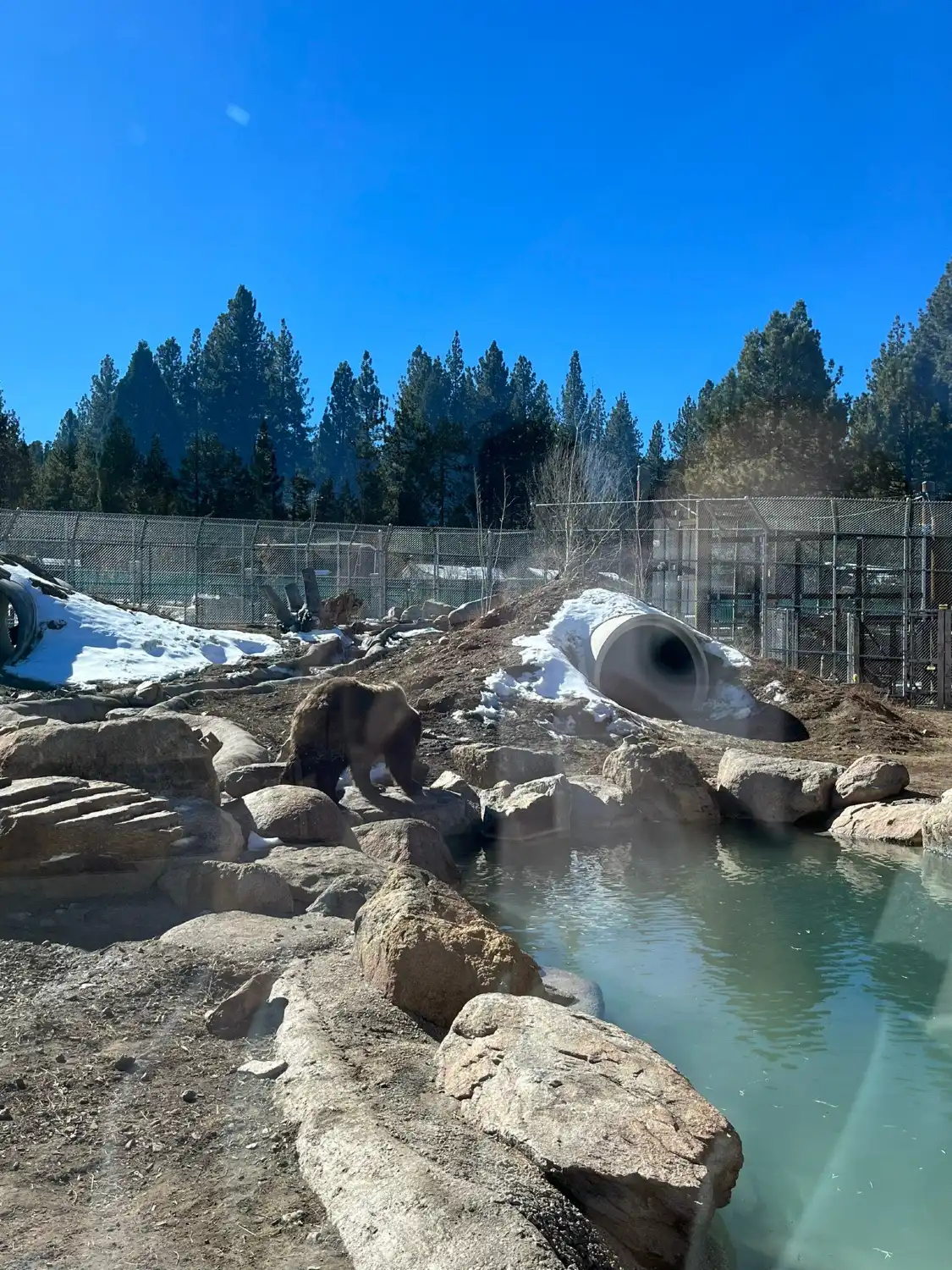 Hotel in zona Big Bear Alpine Zoo at Moonridge