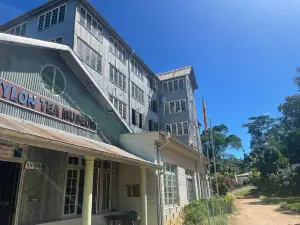 Ceylon Tea Museum