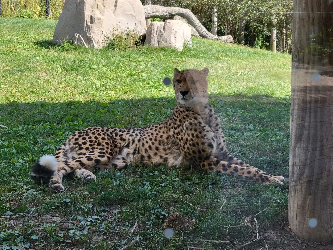 4_Columbus Zoo and Aquarium