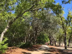 Ed Austin Regional Park