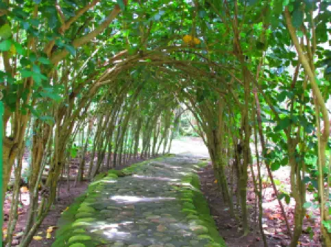 El Gallineral Natural Park