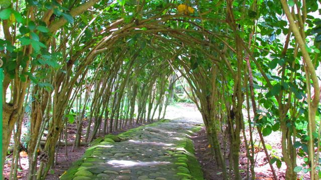 El Gallineral Natural Park