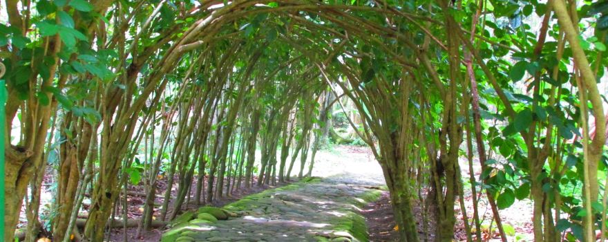 El Gallineral Natural Park
