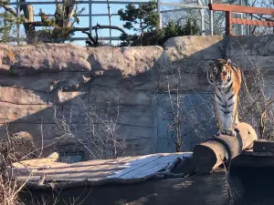 ZOO Hluboká nad Vltavou