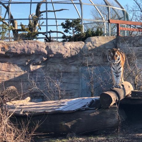 ZOO Hluboká nad Vltavou