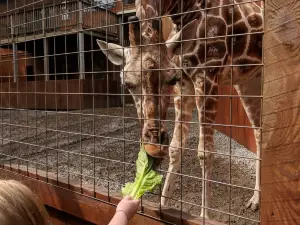 Living Treasures "Wild" Animal Park
