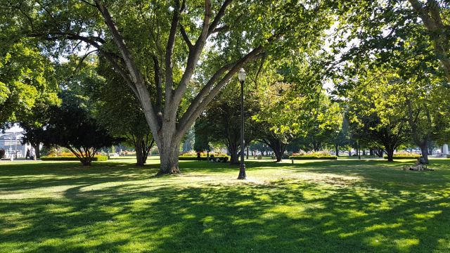 Kelowna City Park