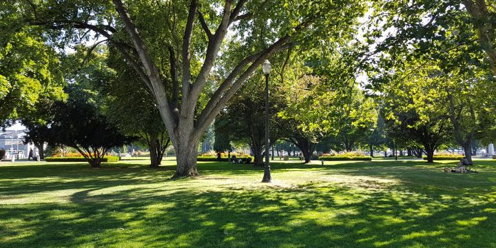 Kelowna City Park