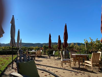 O'Brien Estate Winery