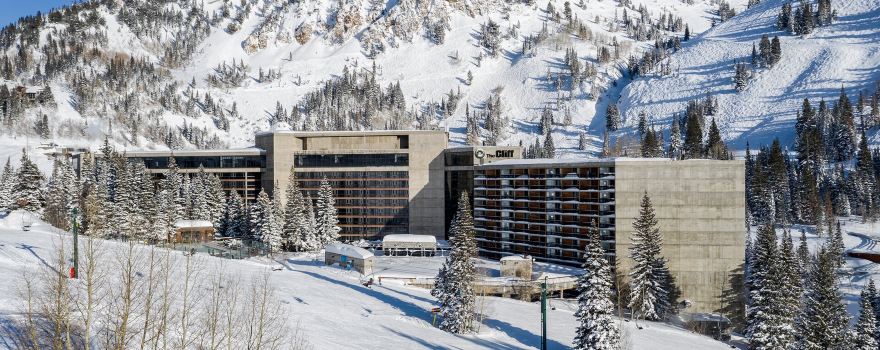 Snowbird