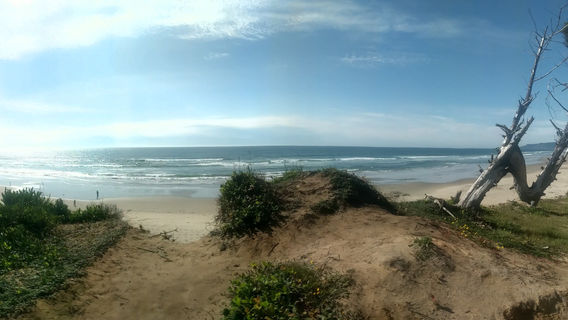 South Beach State Park