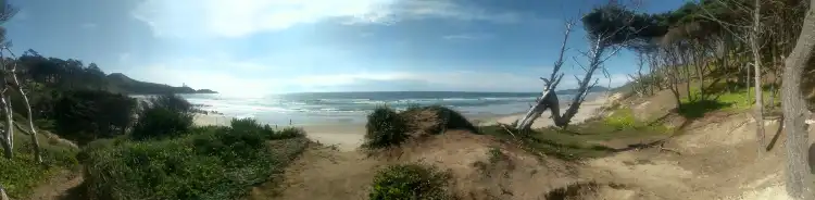 Hotel dekat South Beach State Park