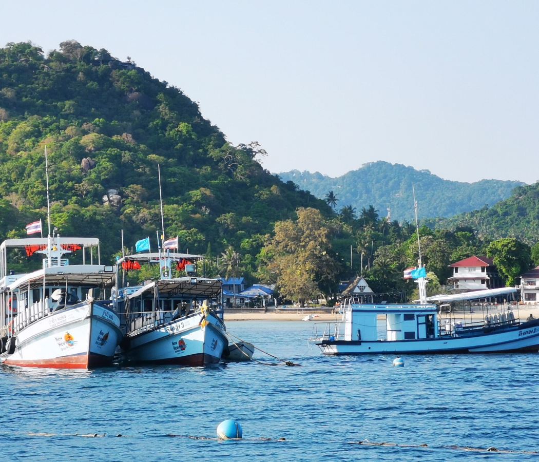 โฉลกบ้านเก่า