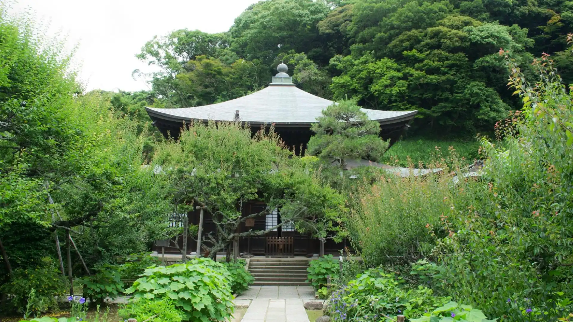 Hotels near Zuisen-ji Temple