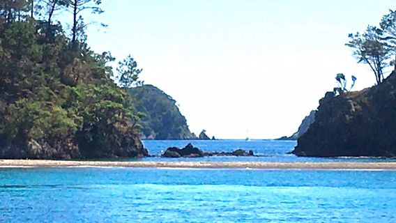 Paihia