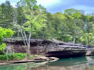 Withrow Springs State Park
