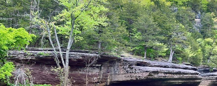 Withrow Springs State Park