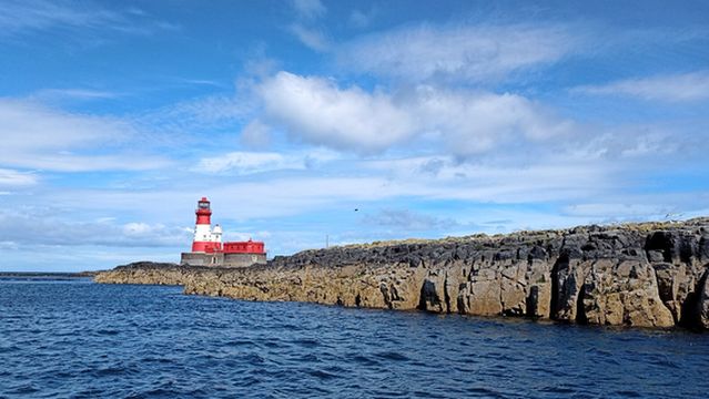 Farne Islands