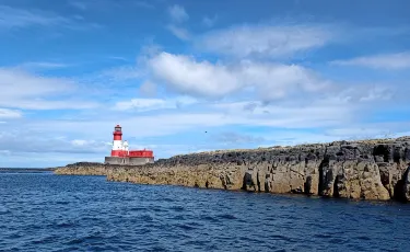 Farne Islands