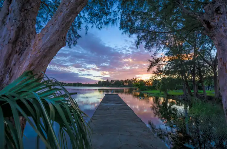 Olympia Heights住宿飯店