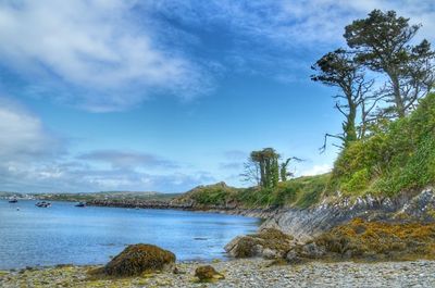 Sherkin Island