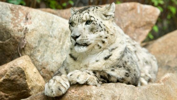 Great Plains Zoo