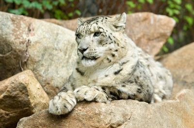Great Plains Zoo
