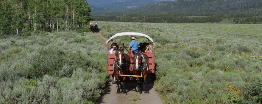 Castagno Outfitters Chuckwagon Dinner