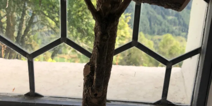 Chapel of St. Apollonia