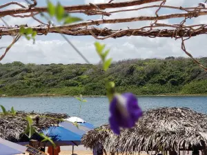 Lake Jacuma