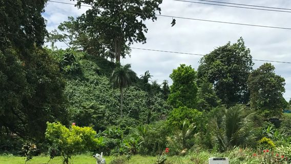 Amelia Earhart Memorial