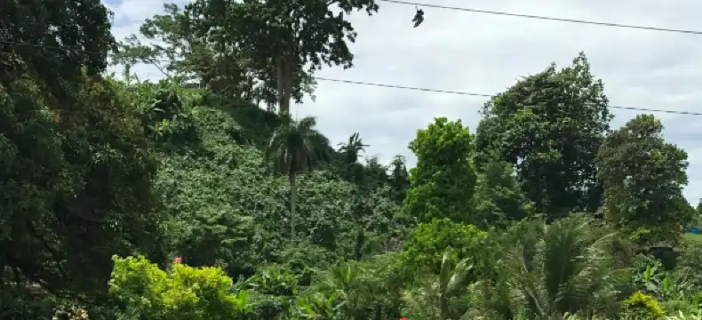 Hotels in Lae