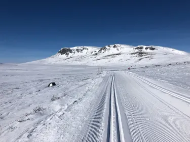Geilo