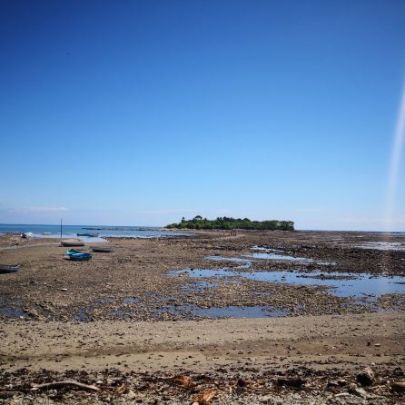 Cabuya Island