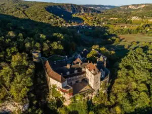 Chateau Cenevieres